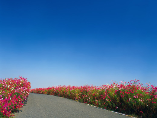 644443 (a): :1600x1200
